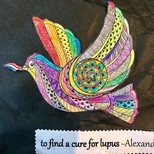 Meet your Posher, Jill